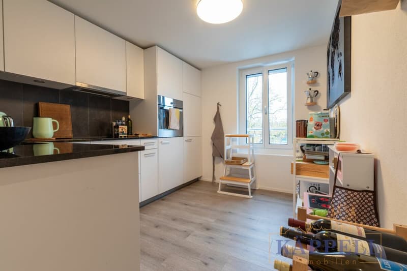 3.5 Zimmer Wohnung an der Rütlistrasse in Thun (3)