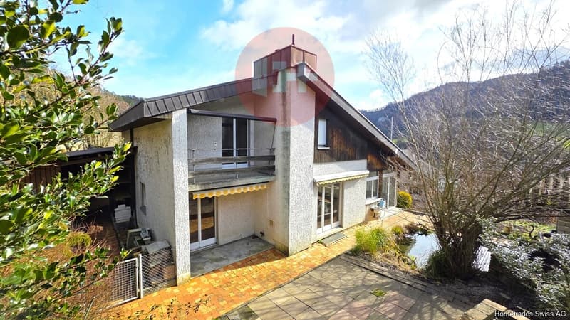 Einfamilienhaus_Garten