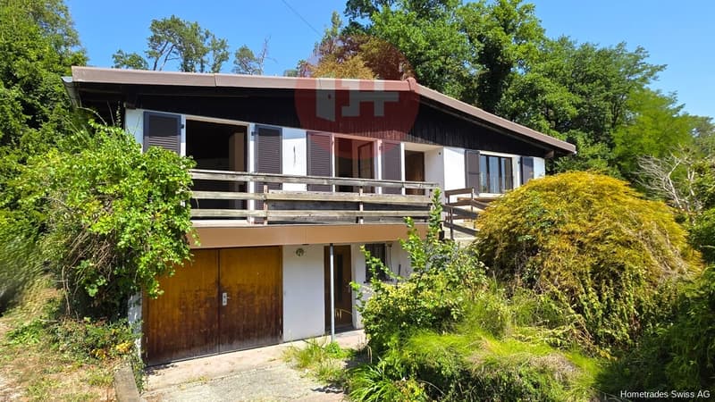 Haus_Garten Front