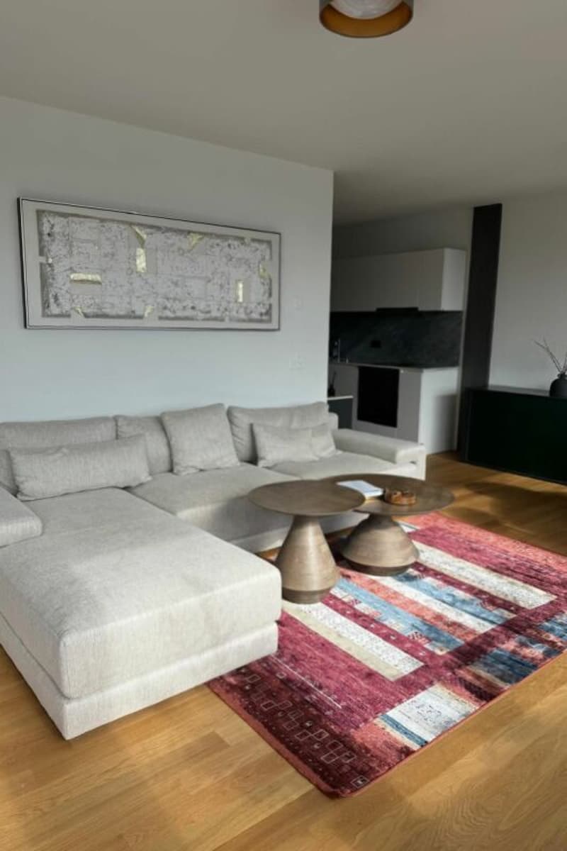 Möblierte 2-Zimmer-Wohnung in Baden (befristet) (2)