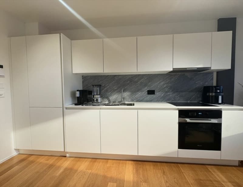 Möblierte 2-Zimmer-Wohnung in Baden (befristet) (3)