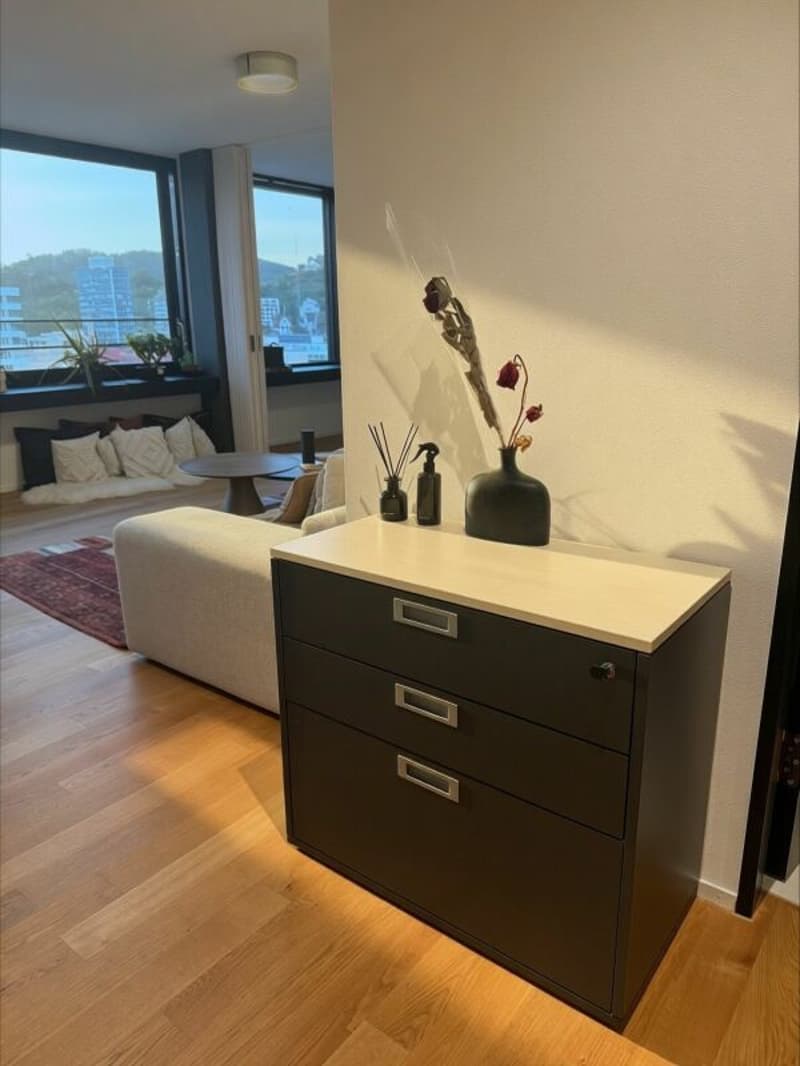 Möblierte 2-Zimmer-Wohnung in Baden (befristet) (9)