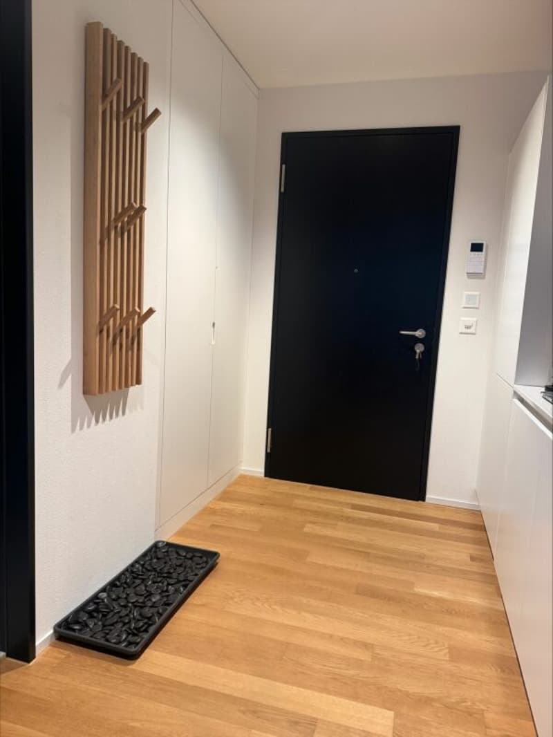 Möblierte 2-Zimmer-Wohnung in Baden (befristet) (6)