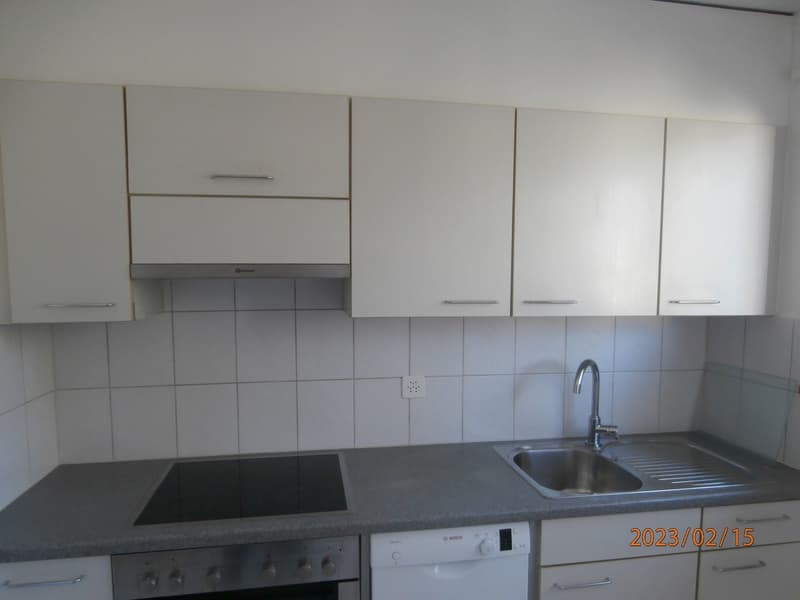 Appartamento di 3,5 locali in affitto (4)