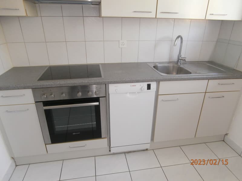 Appartamento di 3,5 locali in affitto (3)