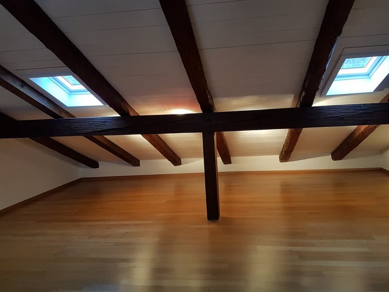 Beautiful 3 1/2 room duplex apartment for rent (8)