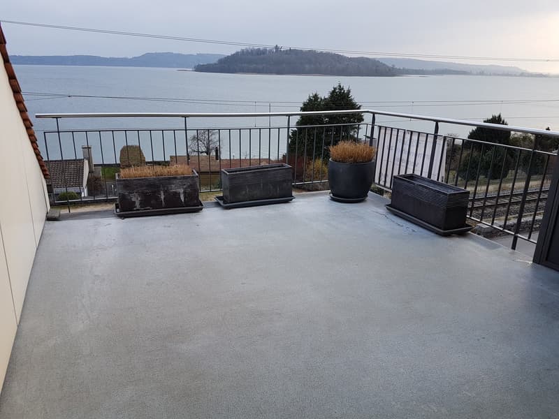 Beautiful 3 1/2 room duplex apartment for rent (10)