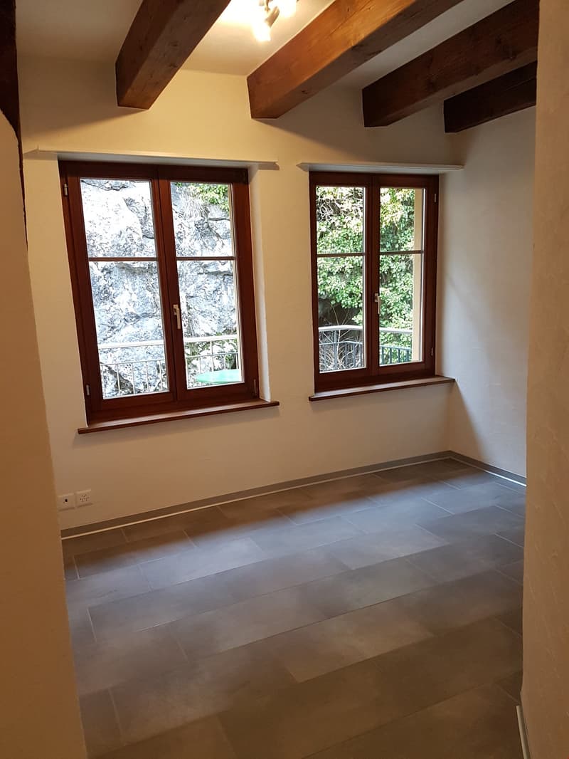 Beautiful 3 1/2 room duplex apartment for rent (7)