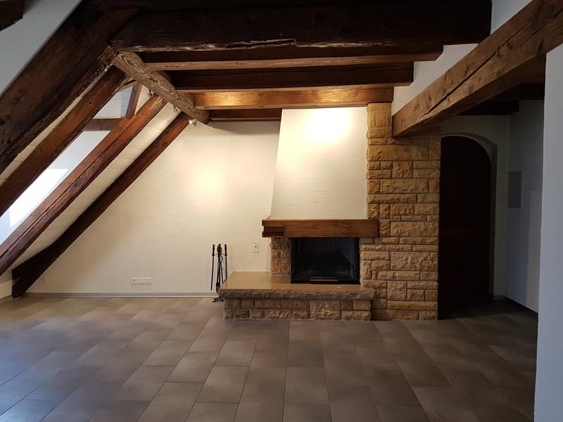 Beautiful 3 1/2 room duplex apartment for rent (3)
