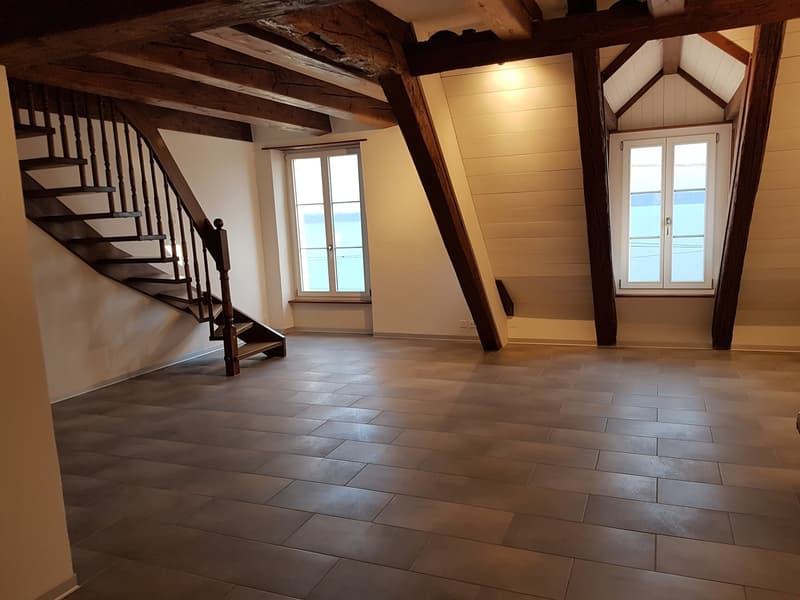 schöne 3 1/2 Zimmer-Duplex-Wohnung zu vermieten (2)