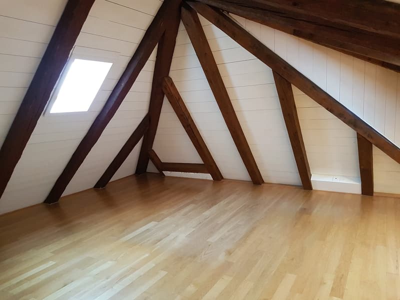 schöne 3 1/2 Zimmer-Duplex-Wohnung zu vermieten (9)