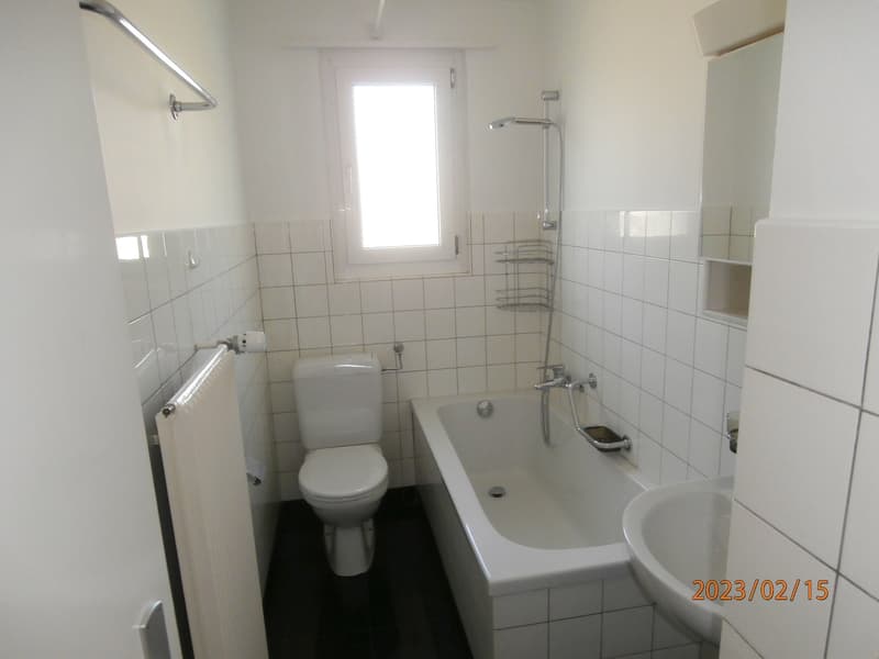 3.5 Zimmerwohnung zu vermieten (5)