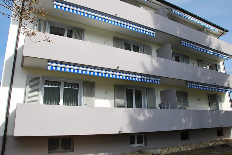 3.5 Zimmerwohnung zu vermieten (1)