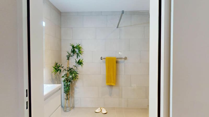Grosse 1.5- Zimmerwohnung mit Galerie (3)