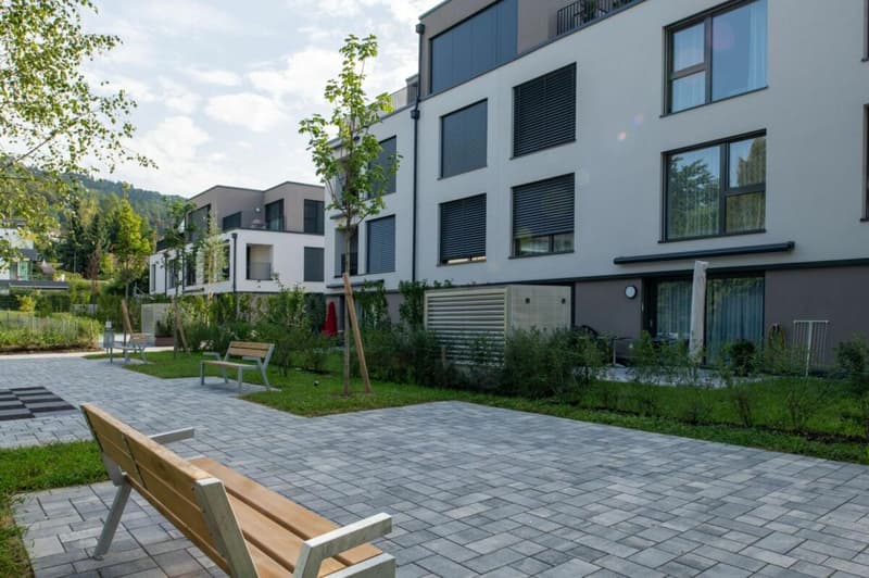 Belano Zuhause in Unterengstringen (9)