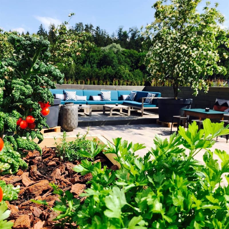 Dachterrasse KUBUS Kantine