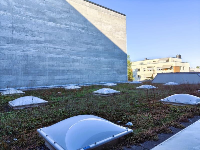 Roof covered with grass and solar panels, large concrete wall, blue sky