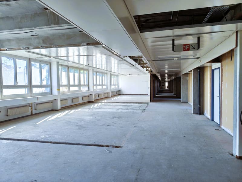 Long empty corridor with large windows, concrete floors, white walls, partially closed doors, and ceiling fixtures.