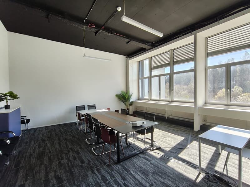 empty meeting room with long table, chairs, projector, plants, windows, carpeted floor