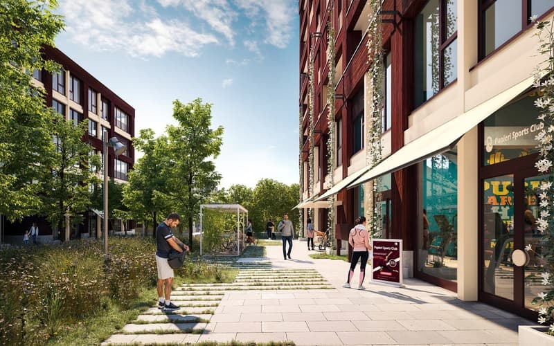 Next Level Spaces - Espaces de vente sur le site Papieri à Cham (3)