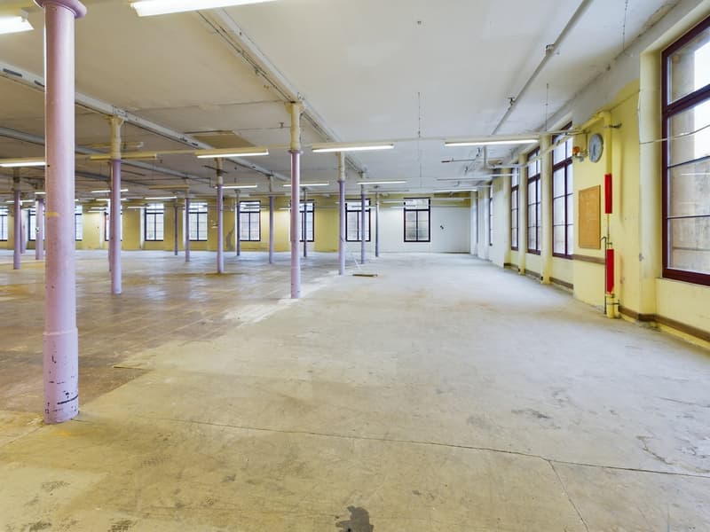 spacious warehouse, concrete floor, large windows, metal columns