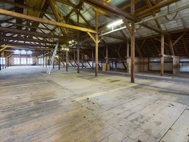 large space with wooden beams, wooden floors, metal roof, large windows, ladders, open ceiling
