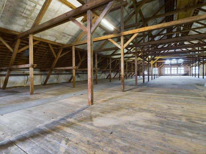 large open space, wooden ceiling, wooden beams, wooden floor