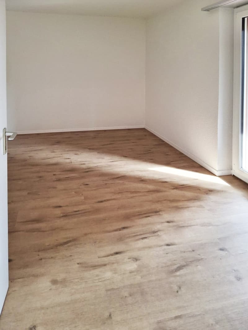 Appartamento di 2,5 locali recentemente ristrutturato con ampio balcone in affitto ad Ascona. (6)