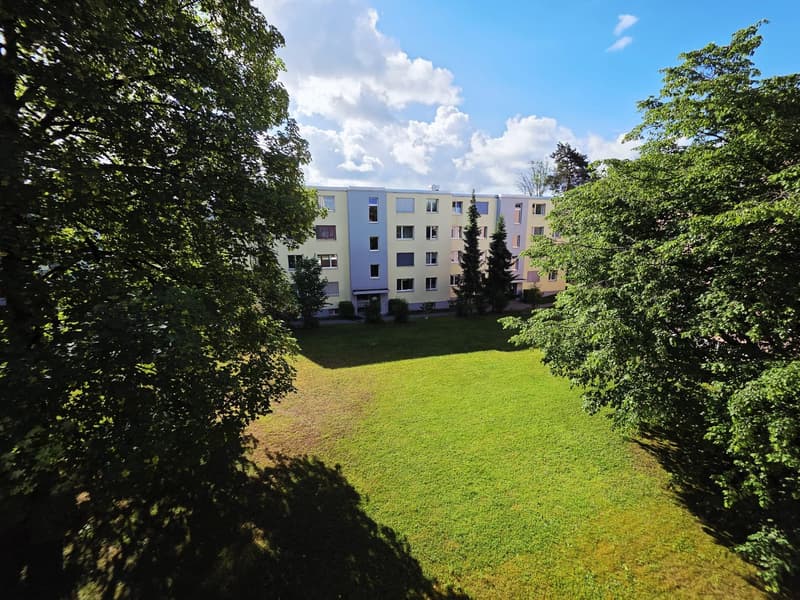 Beautiful, newly renovated, cozy 3.5-room apartment with balcony in Wetzikon (8)