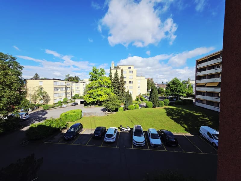 Beautiful, newly renovated, cozy 3.5-room apartment with balcony in Wetzikon (9)