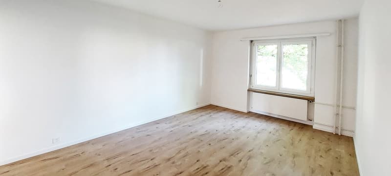 Beautiful, newly renovated, cozy 3.5-room apartment with balcony in Wetzikon (4)