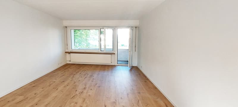 Beautiful, newly renovated, cozy 3.5-room apartment with balcony in Wetzikon (3)