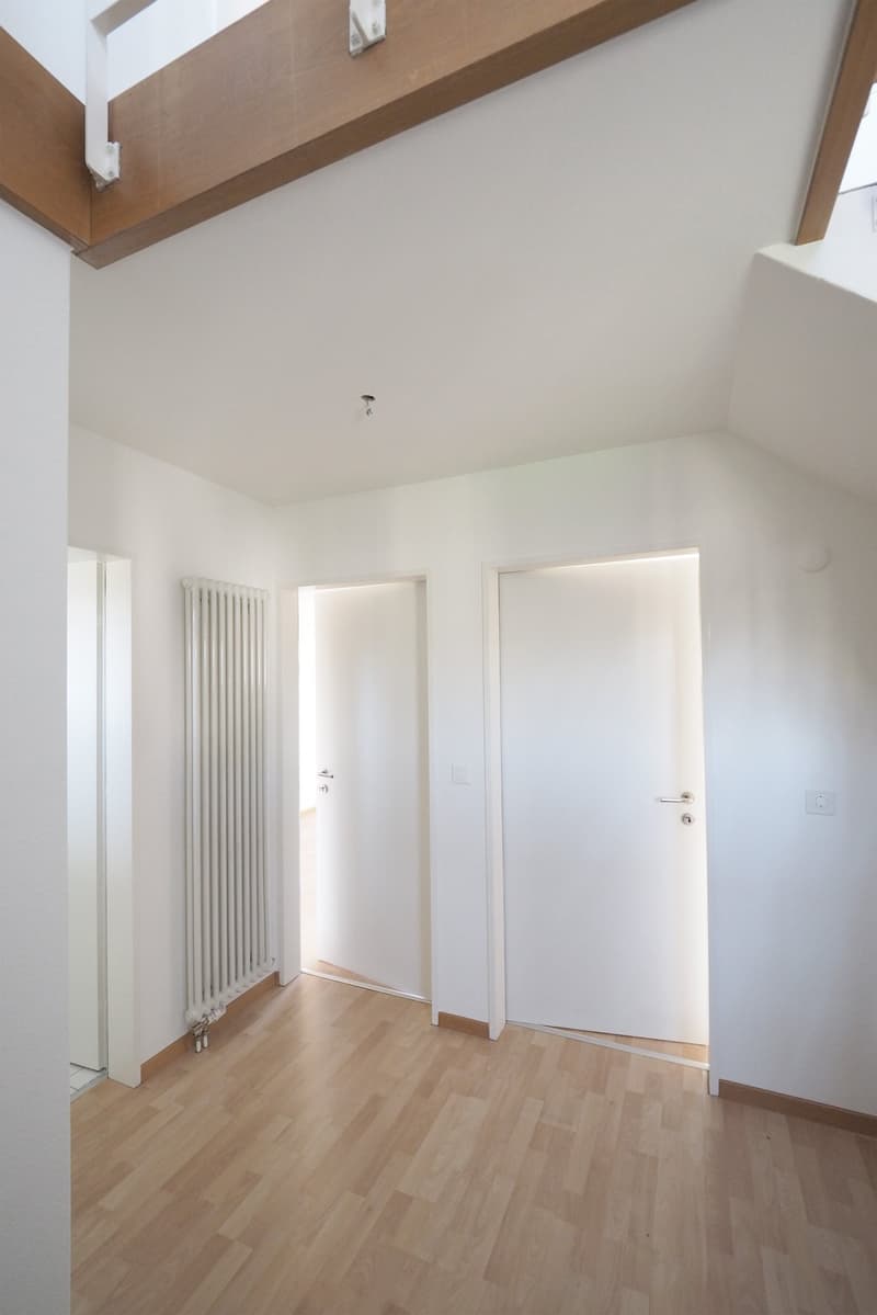 4.5 Zimmer- DG-Maisonettewohnung in Wetzikon (7)