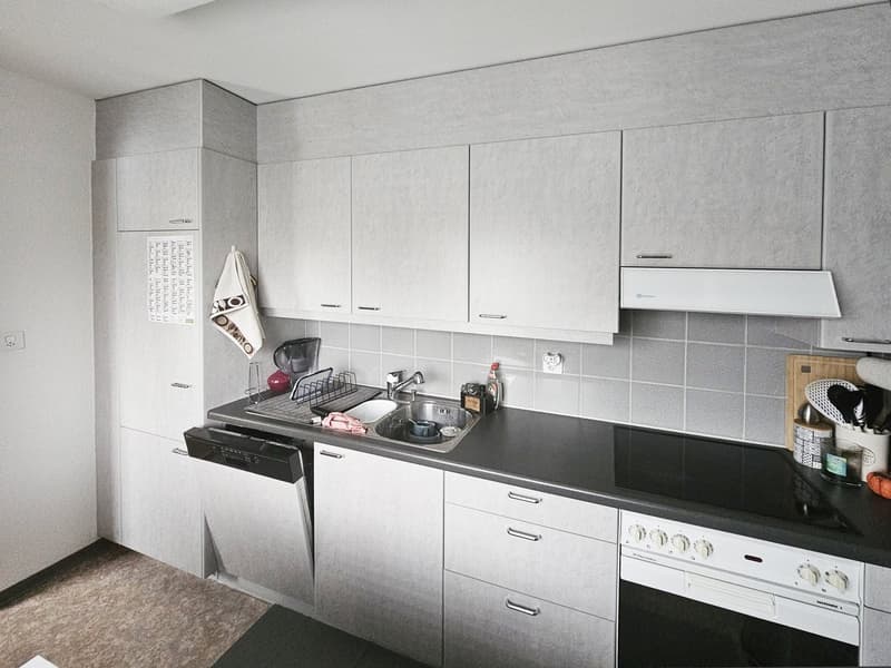 Bel appartement de 2,5 pièces avec balcon à Wetzikon (2)
