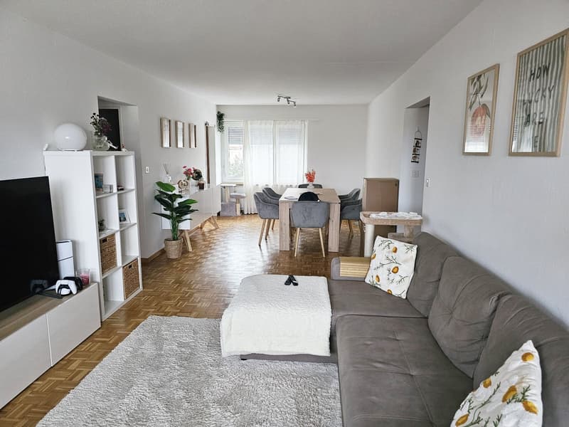 Bel appartement de 2,5 pièces avec balcon à Wetzikon (1)