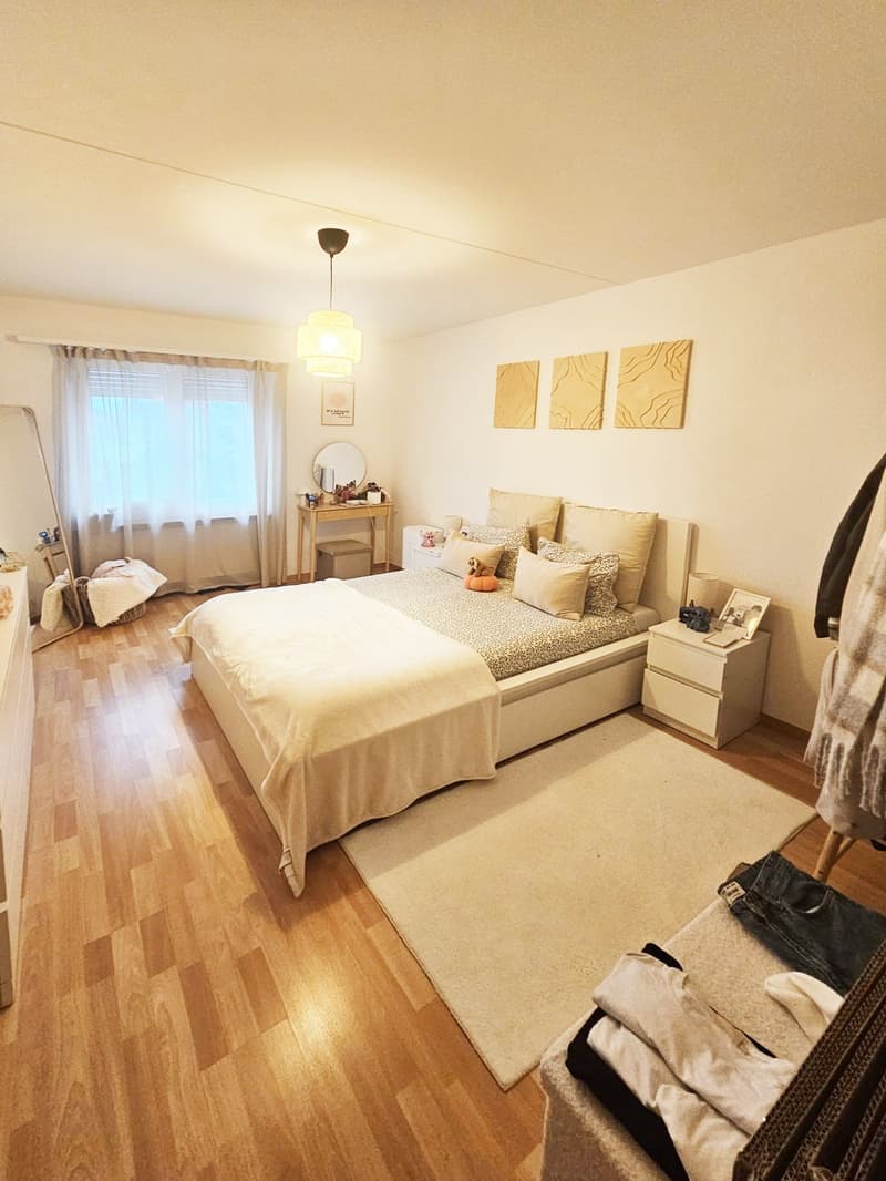 Bel appartement de 2,5 pièces avec balcon à Wetzikon (3)