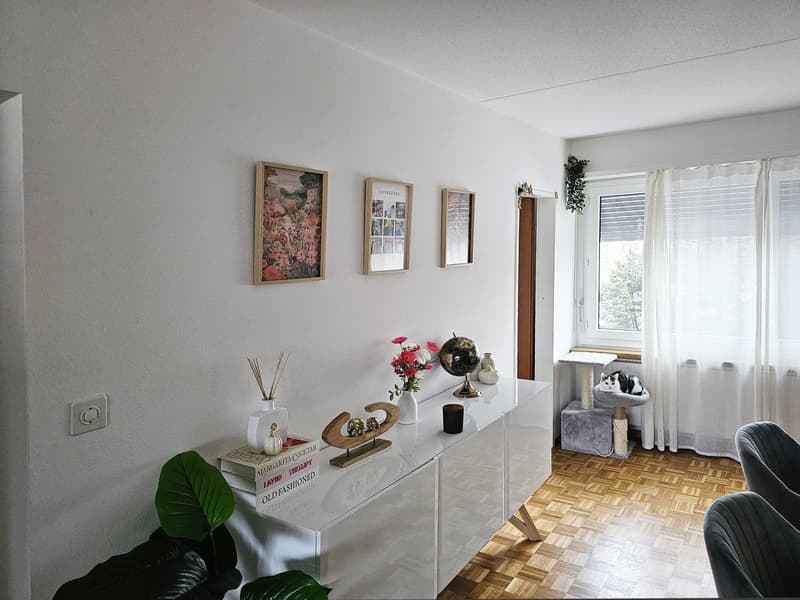 Bel appartement de 2,5 pièces avec balcon à Wetzikon (5)