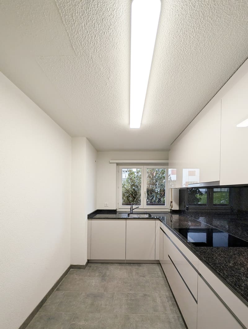 Umgebaute und sanierte 3.5 Zi. EG - Wohnung in Uster zu vermieten (2)