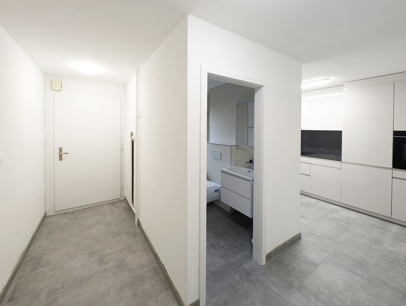 Umgebaute und sanierte 3.5 Zi. EG - Wohnung in Uster zu vermieten (4)