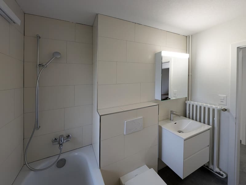 Umgebaute und sanierte 3.5 Zi. EG - Wohnung in Uster zu vermieten (8)