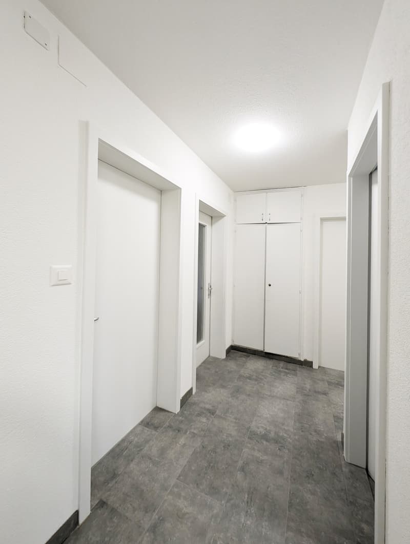 Umgebaute und sanierte 3.5 Zi. EG - Wohnung in Uster zu vermieten (3)