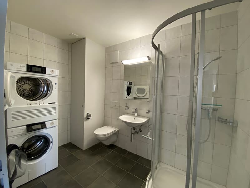 Grosszügige 5-Zimmer-Dachwohnung mit 194 m² als einzige Wohnung im Gebäude (10)