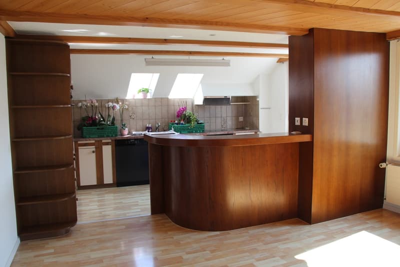 Attractive rental and multi-generation property near the lake (12)