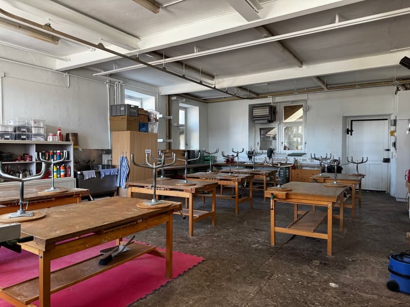 Attractive rental and multi-generation property near the lake (5)