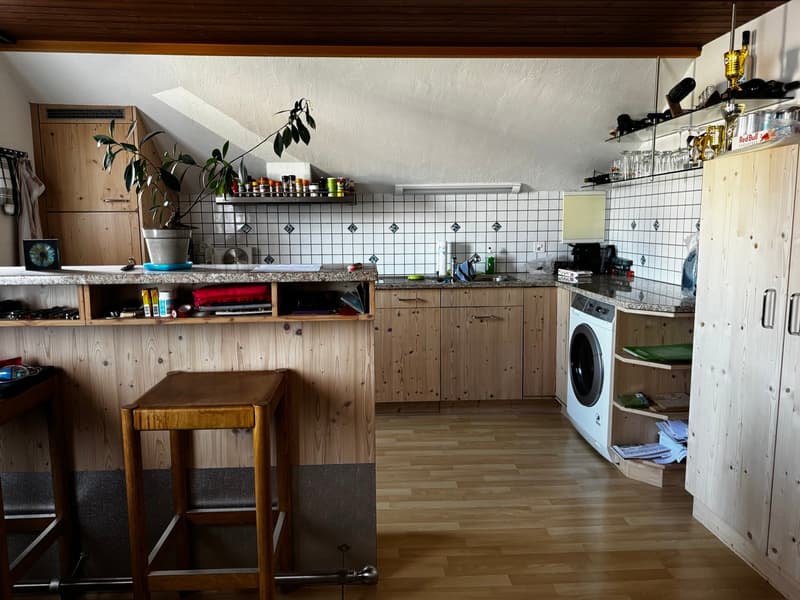Attractive rental and multi-generation property near the lake (16)