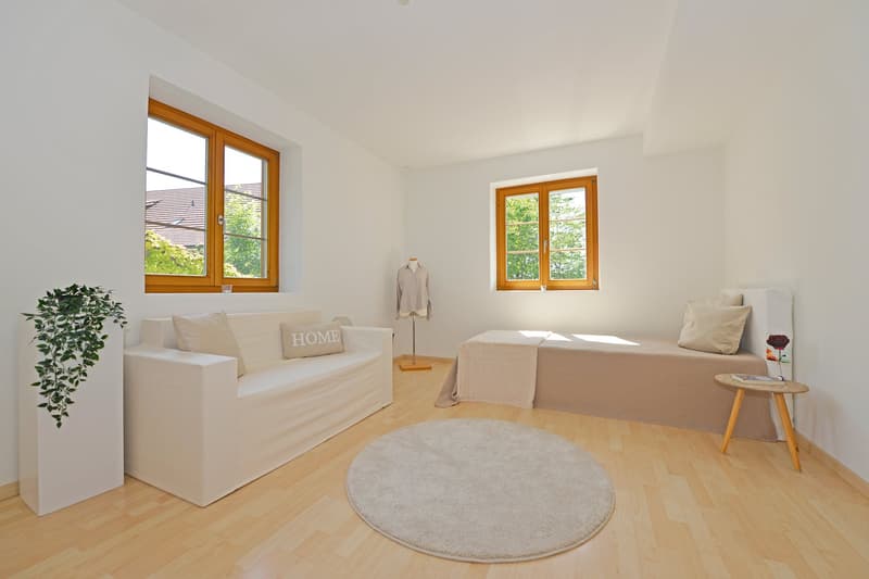 bright room with large windows, circular rug, couch, bed, side table, mannequin, plant