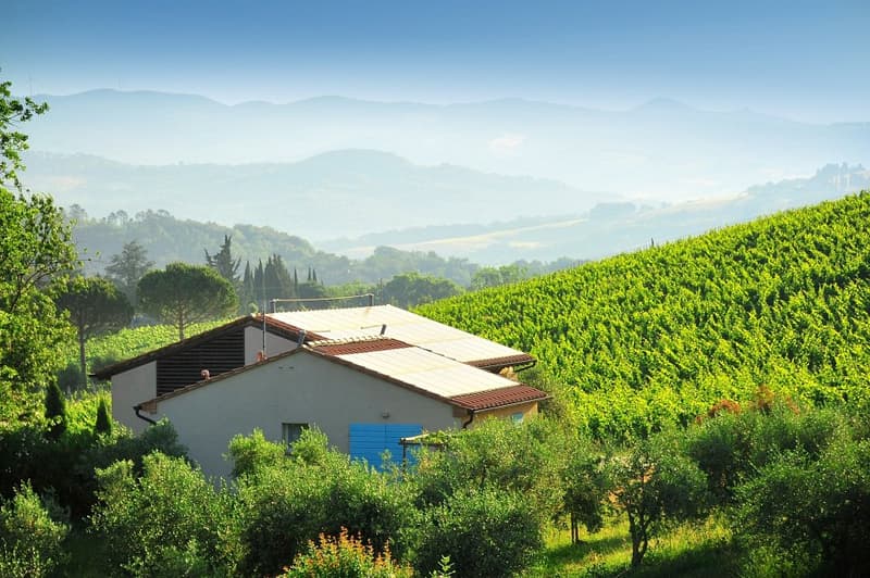 Exploitation agricole biologique unique sur la côte toscane (5)