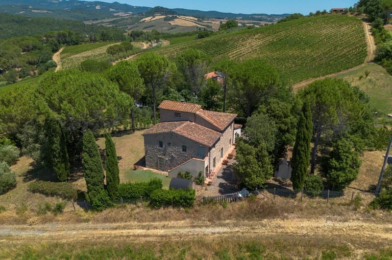 Exploitation agricole biologique unique sur la côte toscane (3)