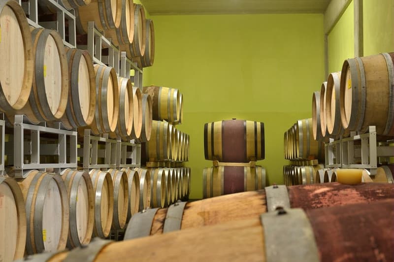 Exploitation agricole biologique unique sur la côte toscane (6)