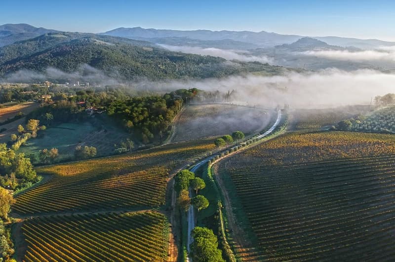 Exploitation agricole biologique unique sur la côte toscane (2)
